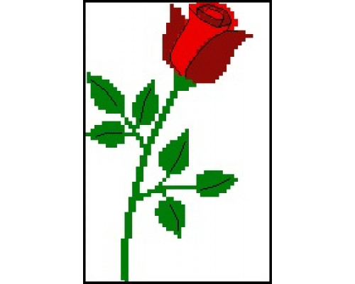 024Г Роза