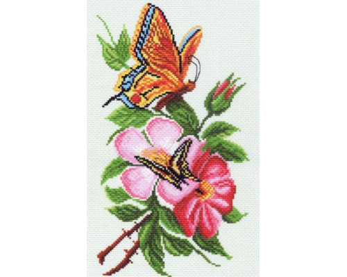 1065 Бабочка на цветке