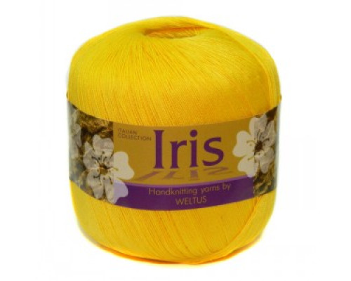 12 Iris