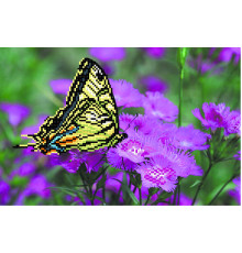 4000 Бабочка на лиловых цветах 28х34 см