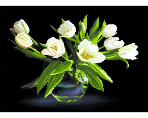 4077 Белые тюльпаны 37х49 см