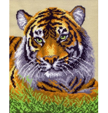 434 Туранский тигр 28х34 см 110х137 кл
