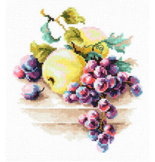 50-05 Виноград и яблоки 16х18 см