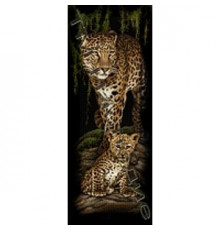 БС-024 Леопардовое семейство
