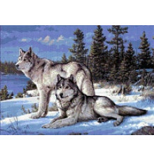 БСА2-001 Волчья пара