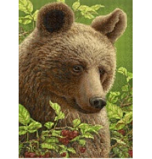 БСА2-063 Медвежонок в малиннике