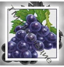 БСА25-008 Виноград