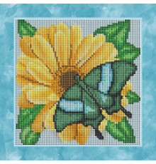 БСА25-045 Бабочка на желтом цветке