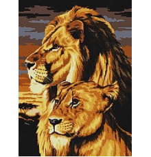 АМА2-003 Лев и львица