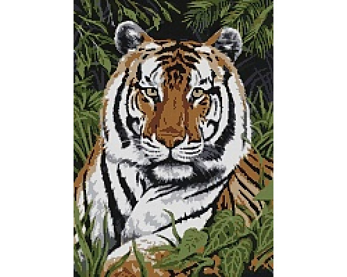 АМА2-054 Гордый тигр