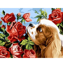 РН-007 Пес в розах
